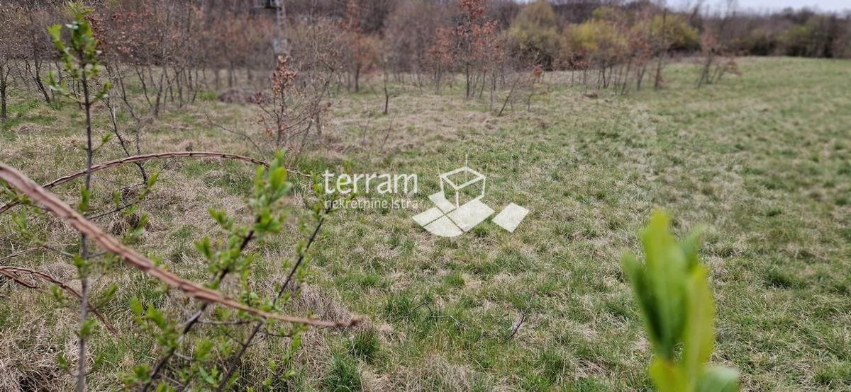 Istria, Barban, terreno edificabile 3007m2 in vendita