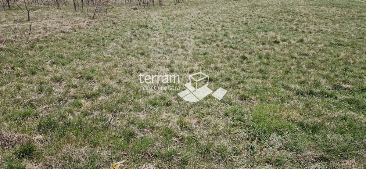 Istria, Barban, terreno edificabile 3007m2 in vendita