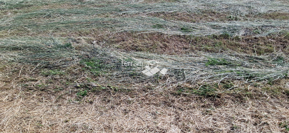 Istria, Fasana, terreno agricolo 450m2 al confine dell&apos;urbanizzazione, elettricità, acqua!! #vendita