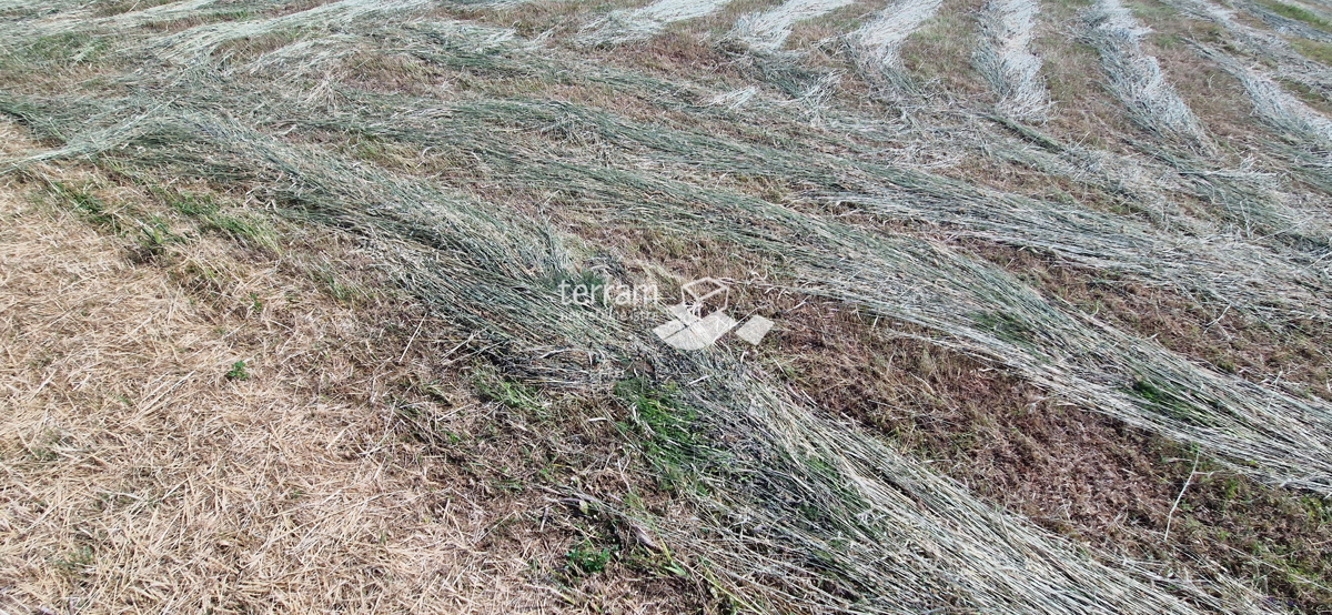 Istria, Fasana, terreno agricolo 450m2 al confine dell&apos;urbanizzazione, elettricità, acqua!! #vendita