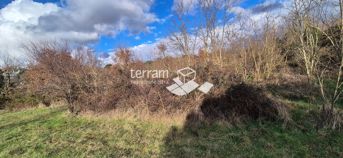 Istra, Rovinj, terreno edificabile 5833m2, #vendita