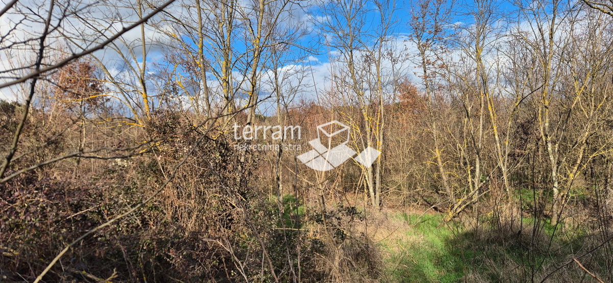 Istra, Rovinj, terreno edificabile 5833m2, #vendita