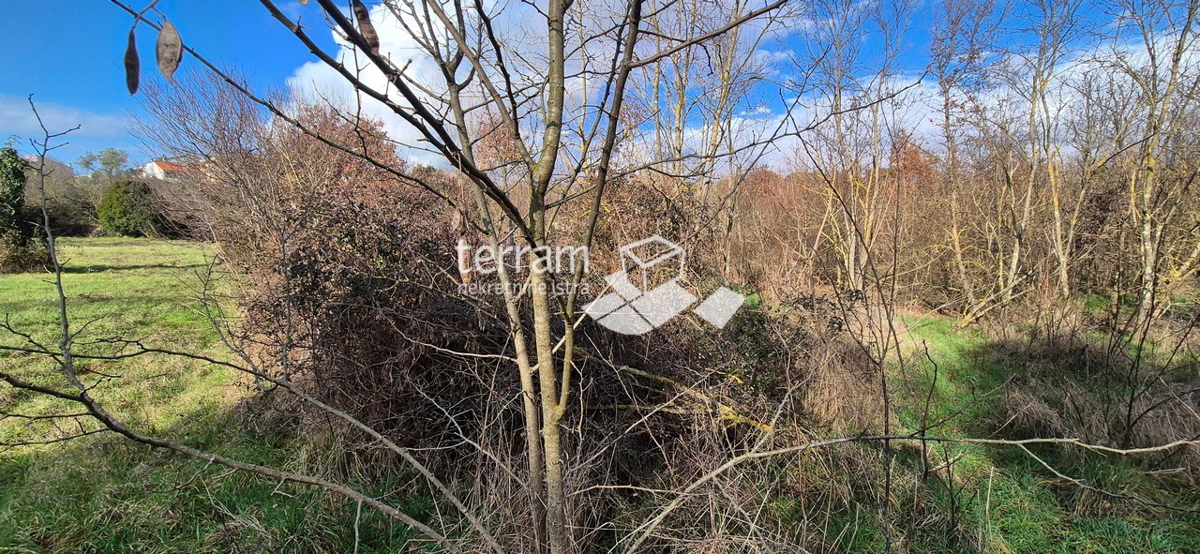 Istra, Rovinj, terreno edificabile 5833m2, #vendita