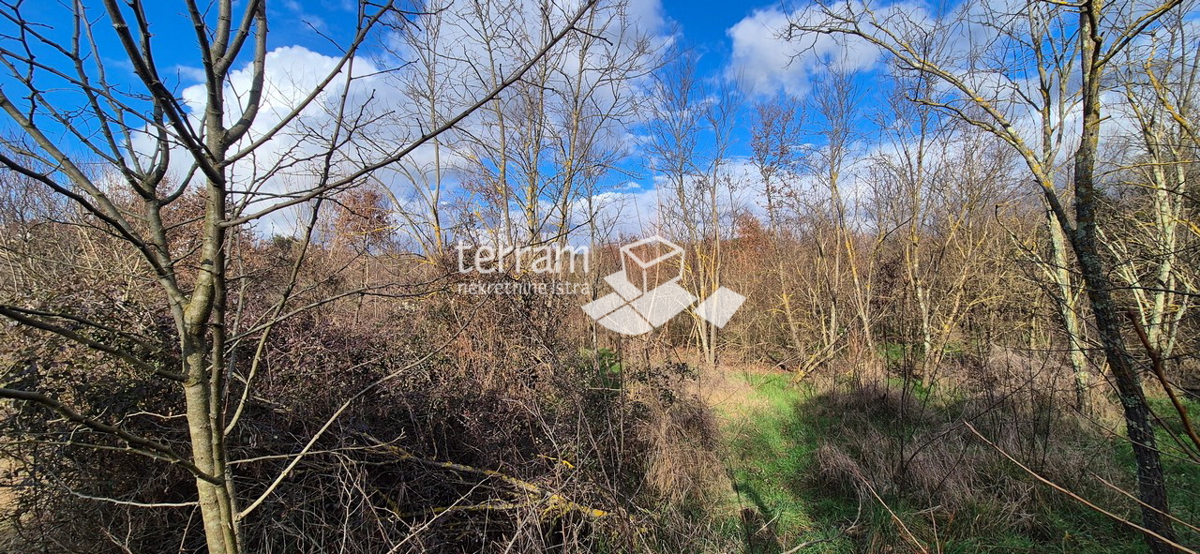 Istra, Rovinj, terreno edificabile 5833m2, #vendita