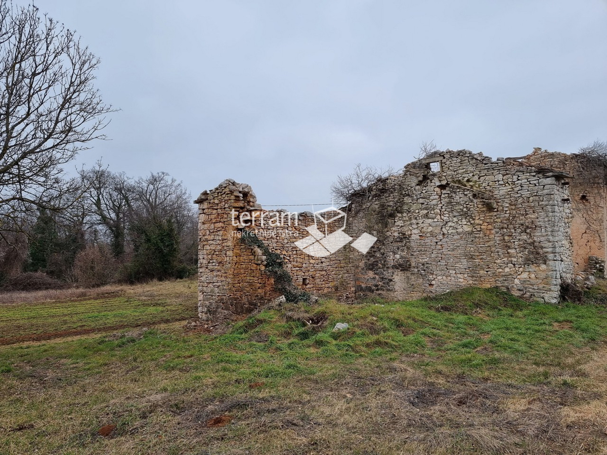 Istria, Žminj, casa istriana indipendente in pietra 160m2 su un grande terreno edificabile 3978m2 da ristrutturare in vendita