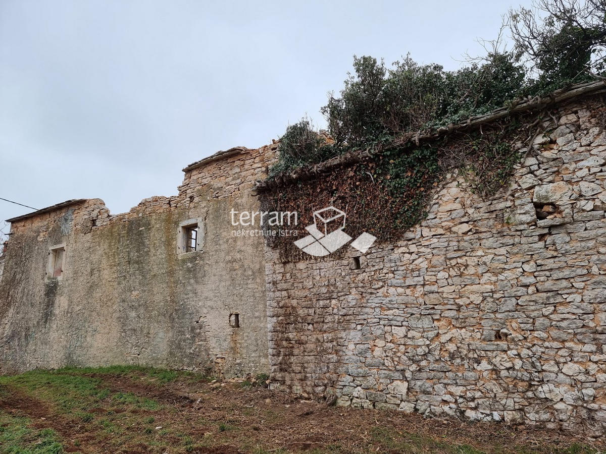 Istria, Žminj, casa istriana indipendente in pietra 160m2 su un grande terreno edificabile 3978m2 da ristrutturare in vendita