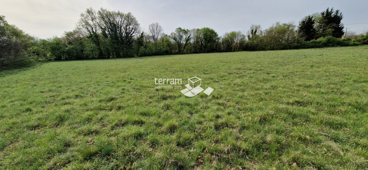 Istria, Barbana, Hreljići, Terreno edificabile 3791m2 #vendita