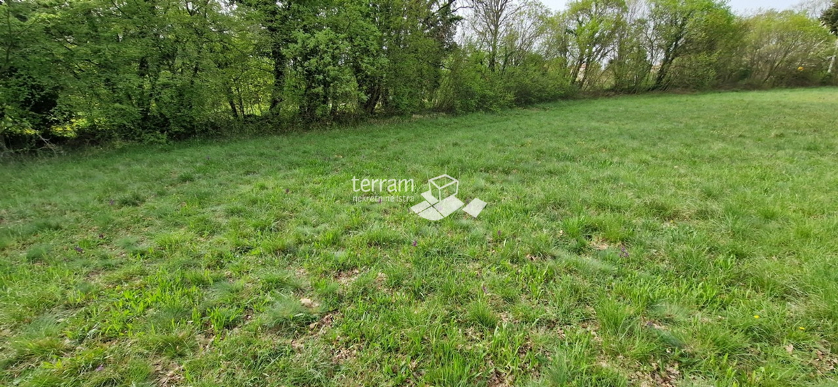 Istria, Barbana, Hreljići, Terreno edificabile 3791m2 #vendita