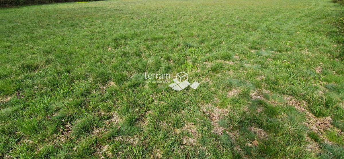 Istria, Barbana, Hreljići, Terreno edificabile 3791m2 #vendita