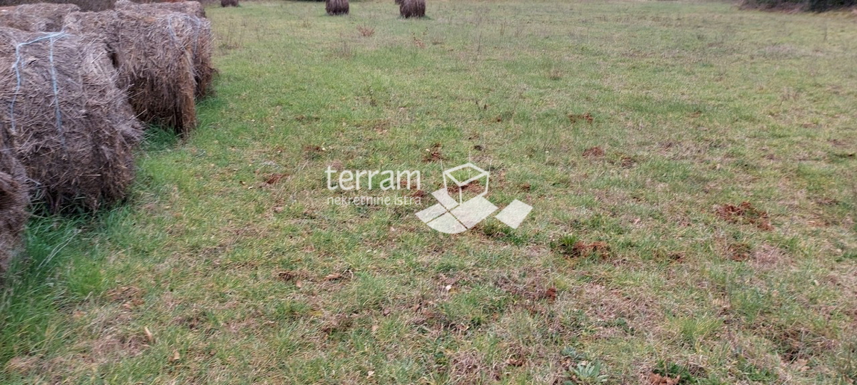 Istria, Lisignano terreno agricolo 4917m2