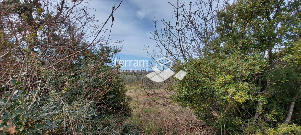 Istria, Bale terreno agricolo 11825m2, con un edificio scritto di 240m2 VISTA MARE