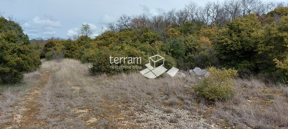 Istria, Bale terreno agricolo 11825m2, con un edificio scritto di 240m2 VISTA MARE