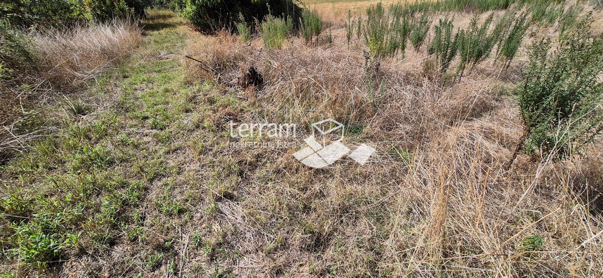 Istria, Dignano, Gallesano, terreno edificabile 985m2 con vista mare #vendita