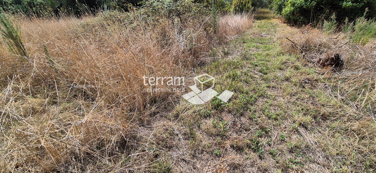 Istria, Dignano, Gallesano, terreno edificabile 985m2 con vista mare #vendita