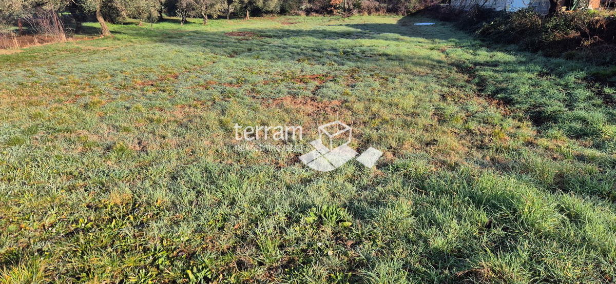 Istra, Vodnjan, Fondole, terreno agricolo 1161m2, #vendita