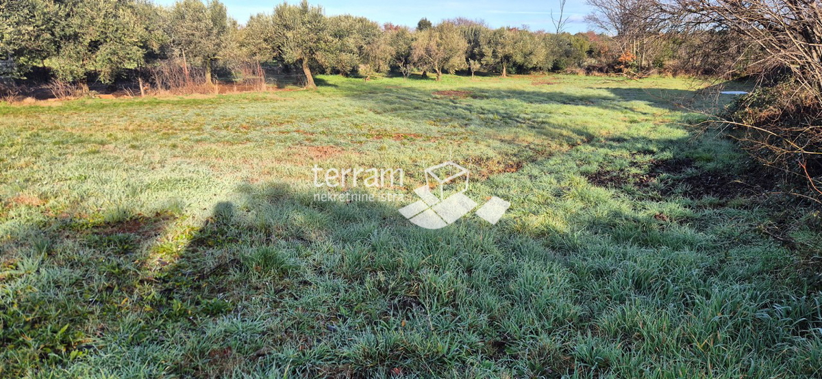 Istra, Vodnjan, Fondole, terreno agricolo 1161m2, #vendita