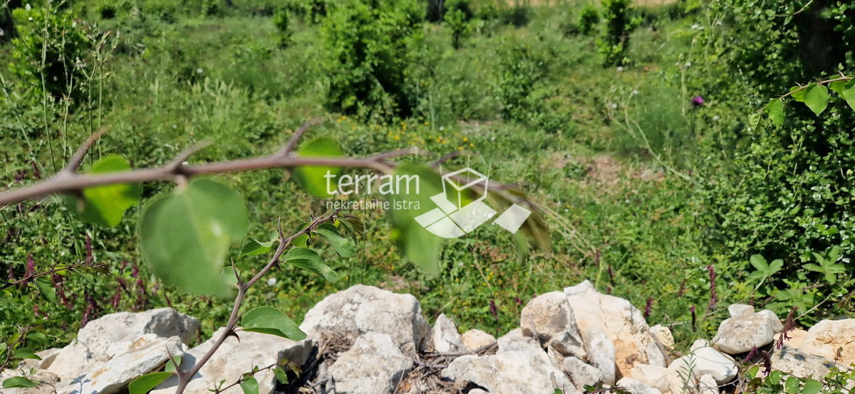 Istria, Medulin, terreno edificabile 563m2, #vendita