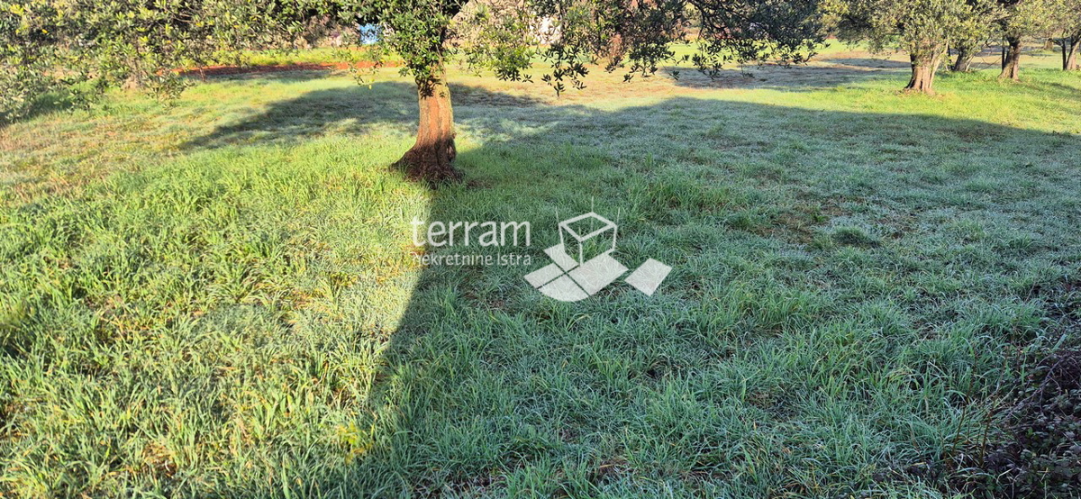 Istra, Vodnjan, Fondole, terreno agricolo 1184m2, #vendita