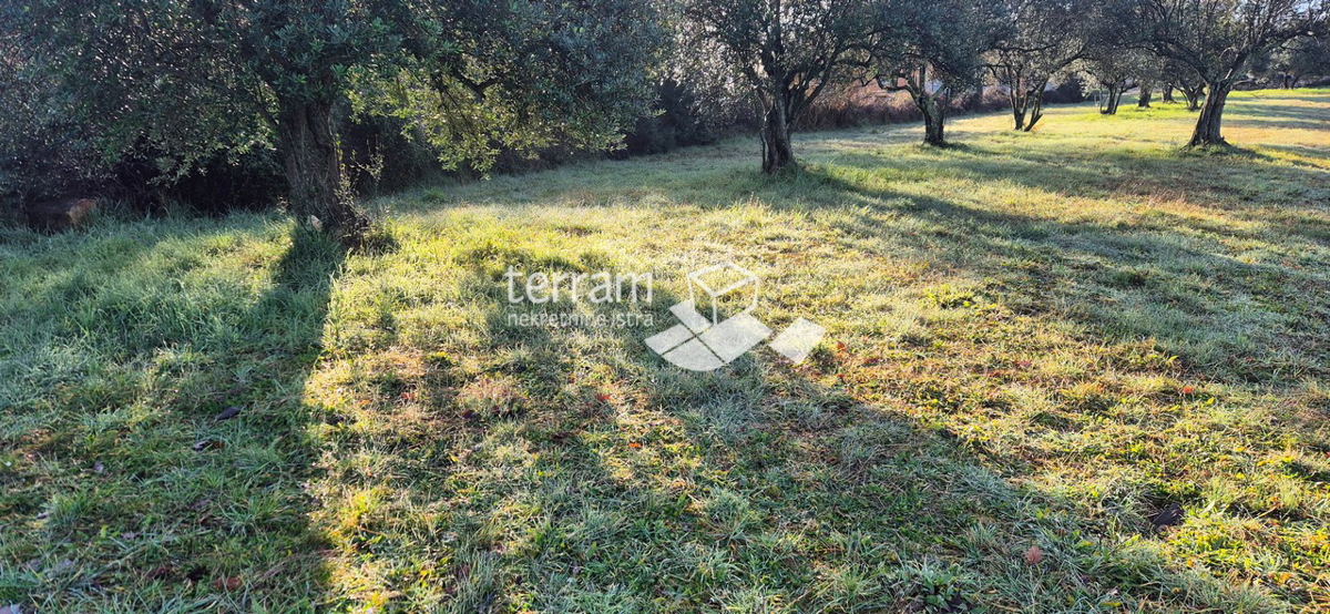 Istra, Vodnjan, Fondole, terreno agricolo 1184m2, #vendita