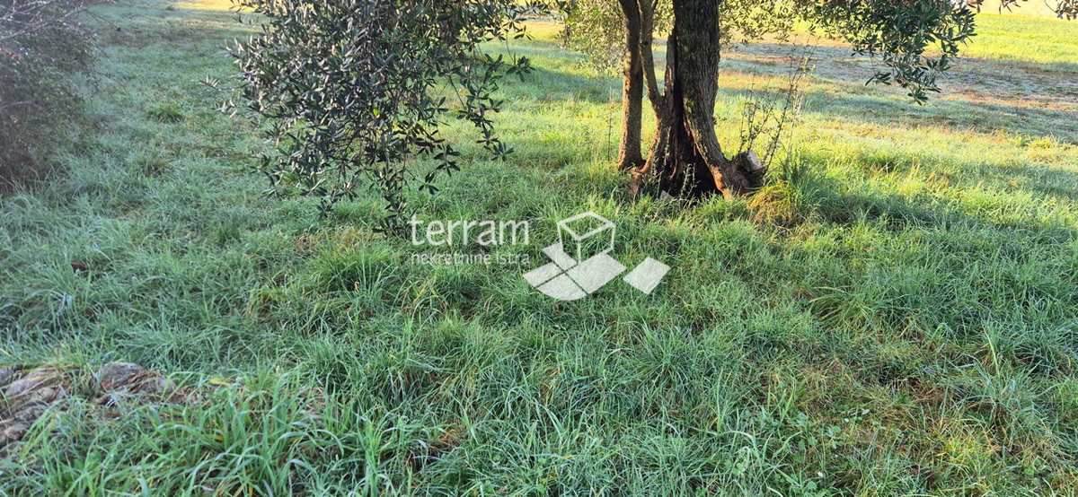 Istra, Vodnjan, Fondole, terreno agricolo 1184m2, #vendita