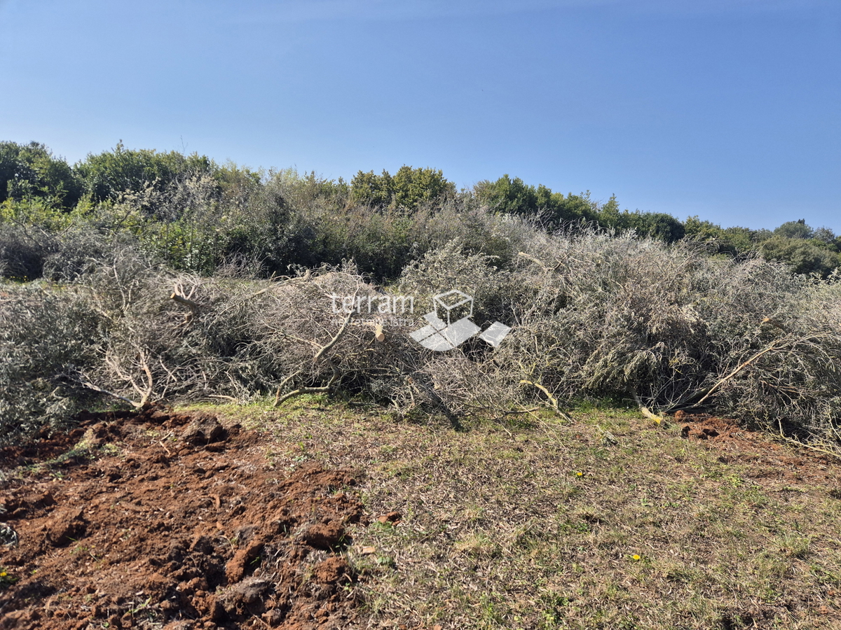 Istra, Pula, Šijana, terreno edificabile, destinazione d’uso commerciale e industriale 37.061 m2, #vendita