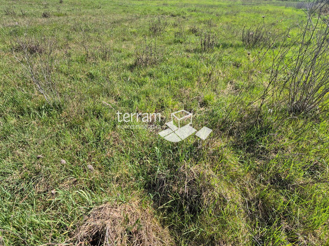 Istra, Pula, Šijana, terreno edificabile 2350m2, progetto preliminare per 18 appartamenti, #vendita