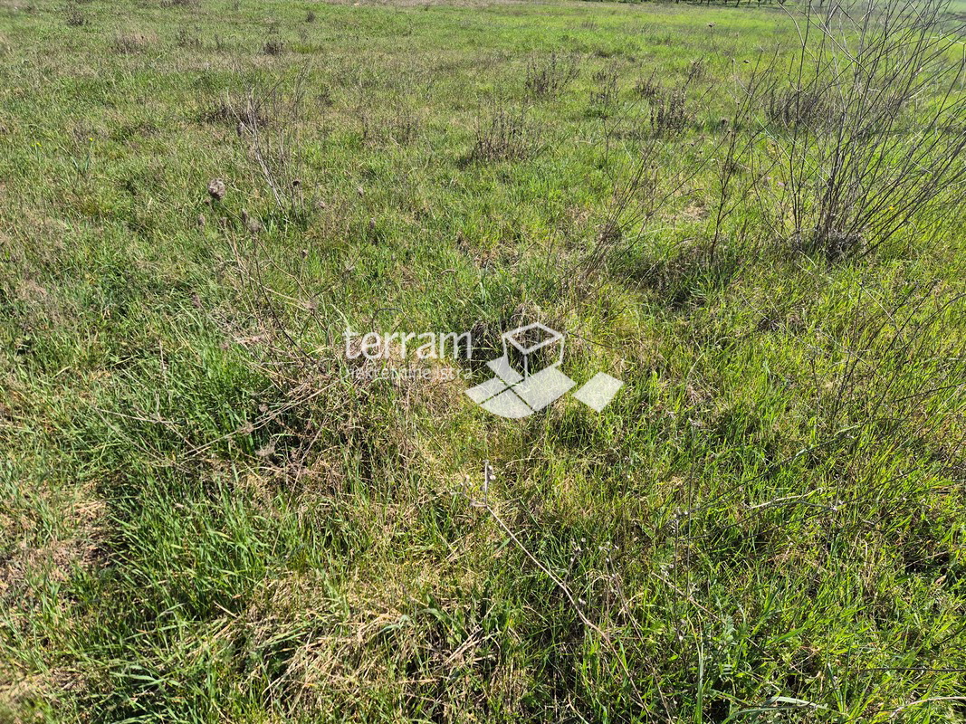 Istra, Pula, Šijana, terreno edificabile 2350m2, progetto preliminare per 18 appartamenti, #vendita