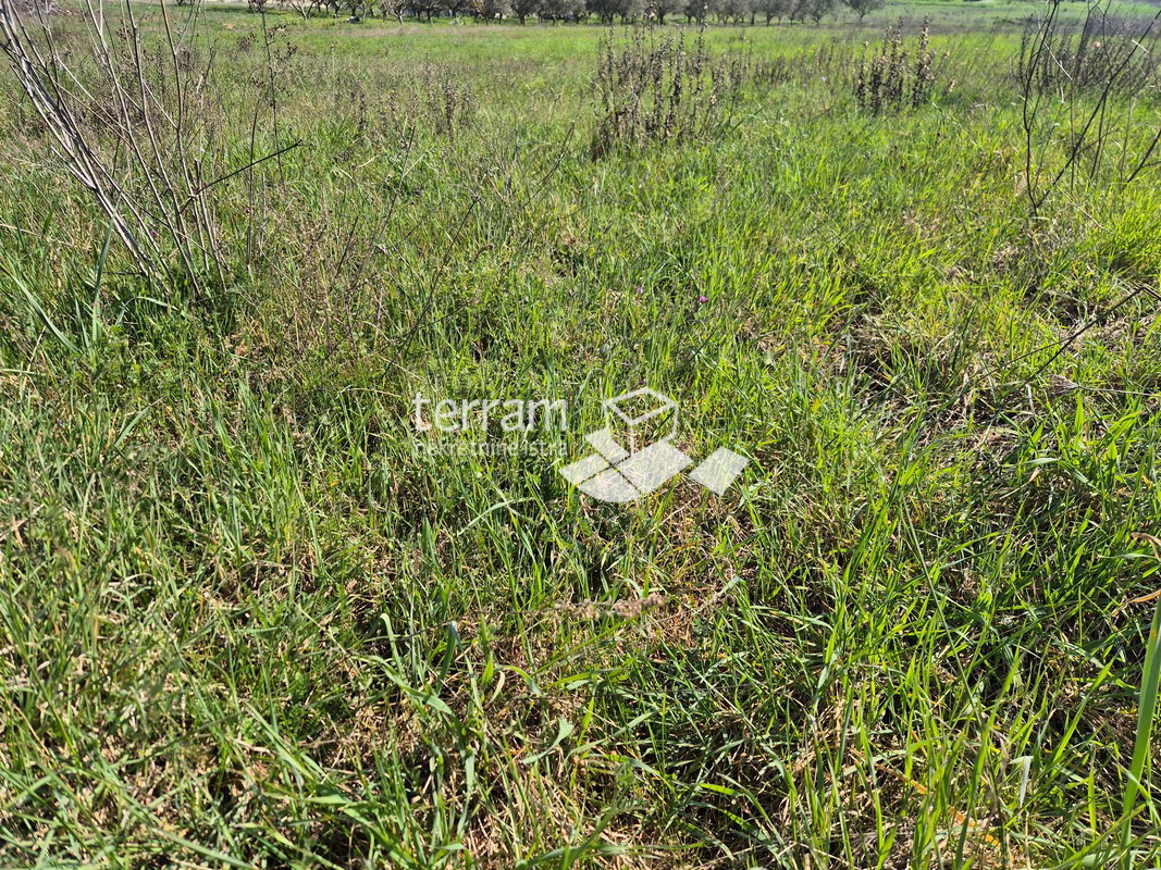 Istra, Pula, Šijana, terreno edificabile 2350m2, progetto preliminare per 18 appartamenti, #vendita