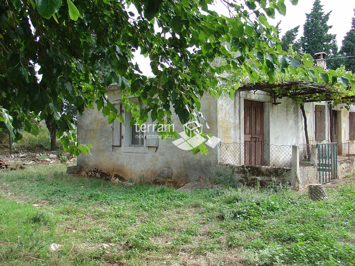 Istria, dintorni di Barban, proprietà con permesso di costruzione, 11153m2