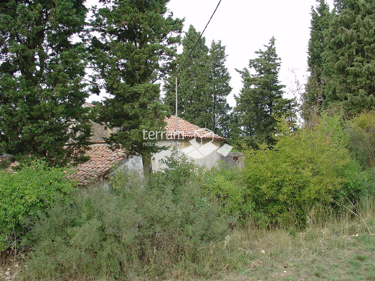 Istria, dintorni di Barban, proprietà con permesso di costruzione, 11153m2