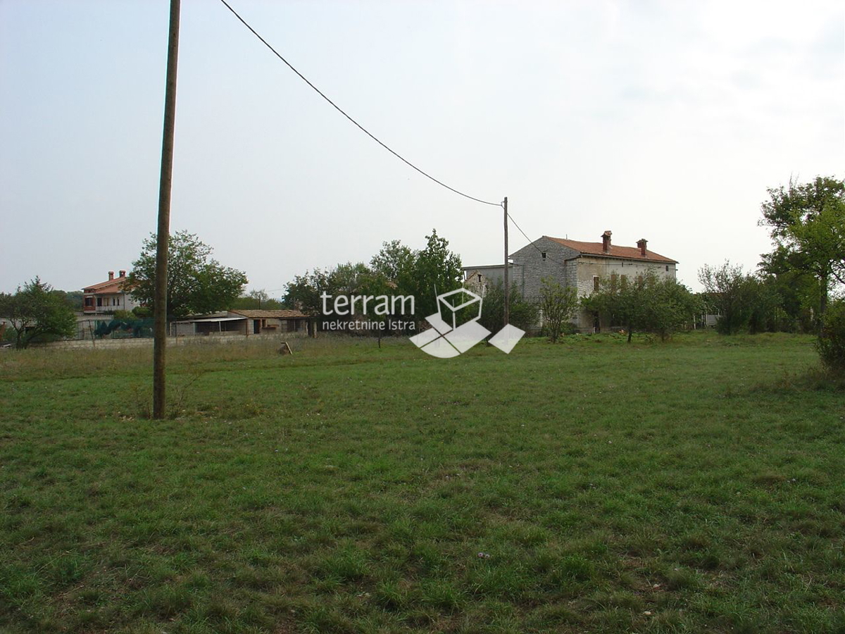 Istria, dintorni di Barban, proprietà con permesso di costruzione, 11153m2