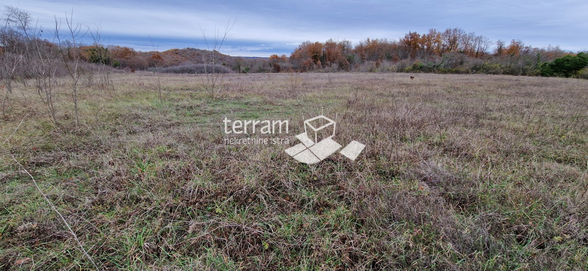 Istria, Bale bellissimo terreno agricolo 20.050 m2 vicino alla strada principale in vendita