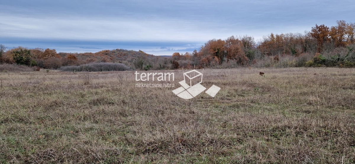 Istria, Bale bellissimo terreno agricolo 20.050 m2 vicino alla strada principale in vendita