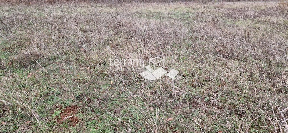 Istria, Bale bellissimo terreno agricolo 20.050 m2 vicino alla strada principale in vendita