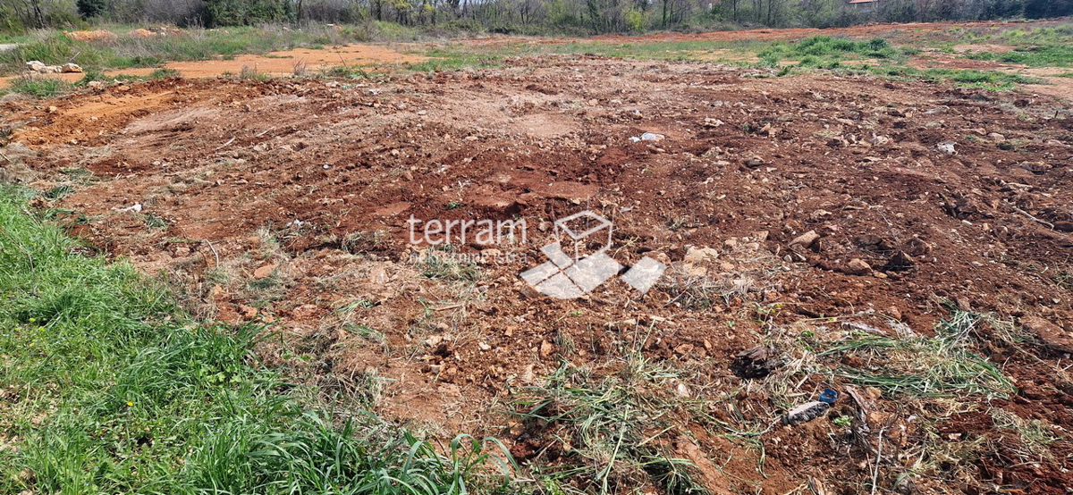 Istria, Pola, Loborika, in vendita un terreno agricolo e edificabile di 1300 m2