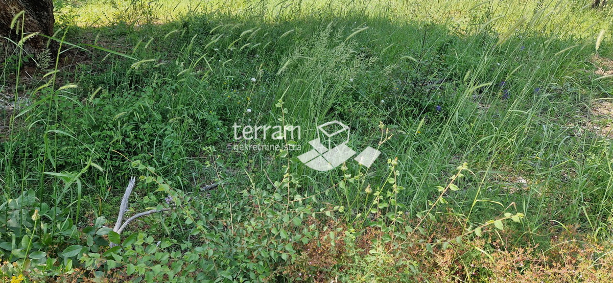 Istria, Medulin, terreno edificabile 687m2, #vendita