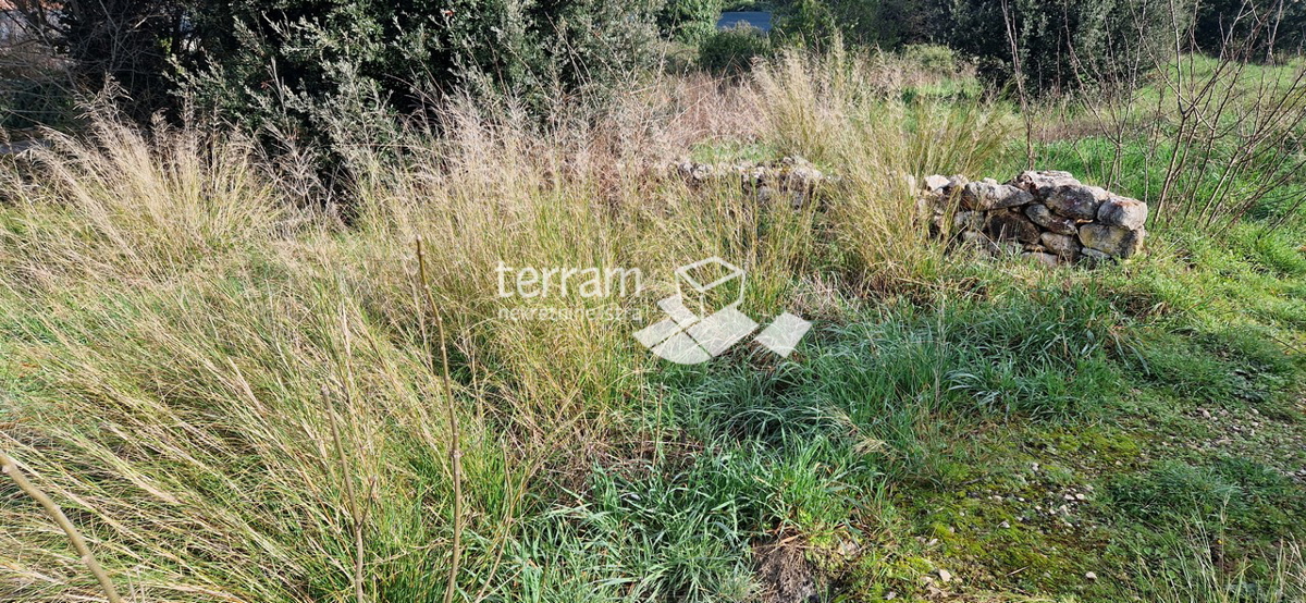 Istria, Banjole, terreno edificabile 1960m2, con permesso di costruzione #vendita