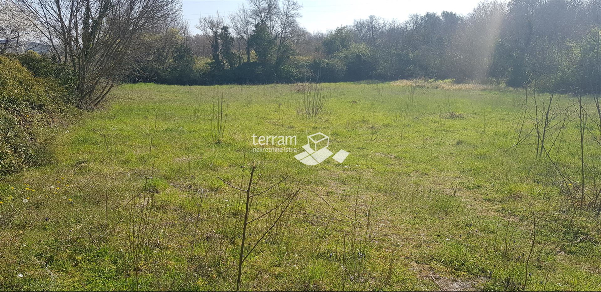 Istria, Rovigno, terreno edificabile 1375m2 M1 scopo ottima posizione