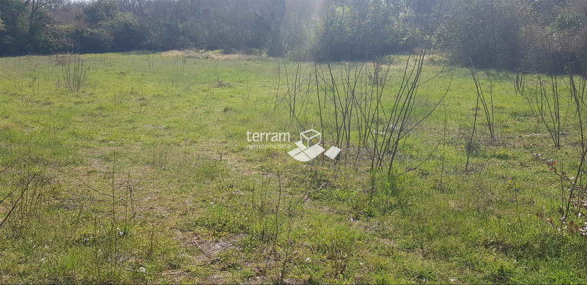 Istria, Rovigno, terreno edificabile 1375m2 M1 scopo ottima posizione