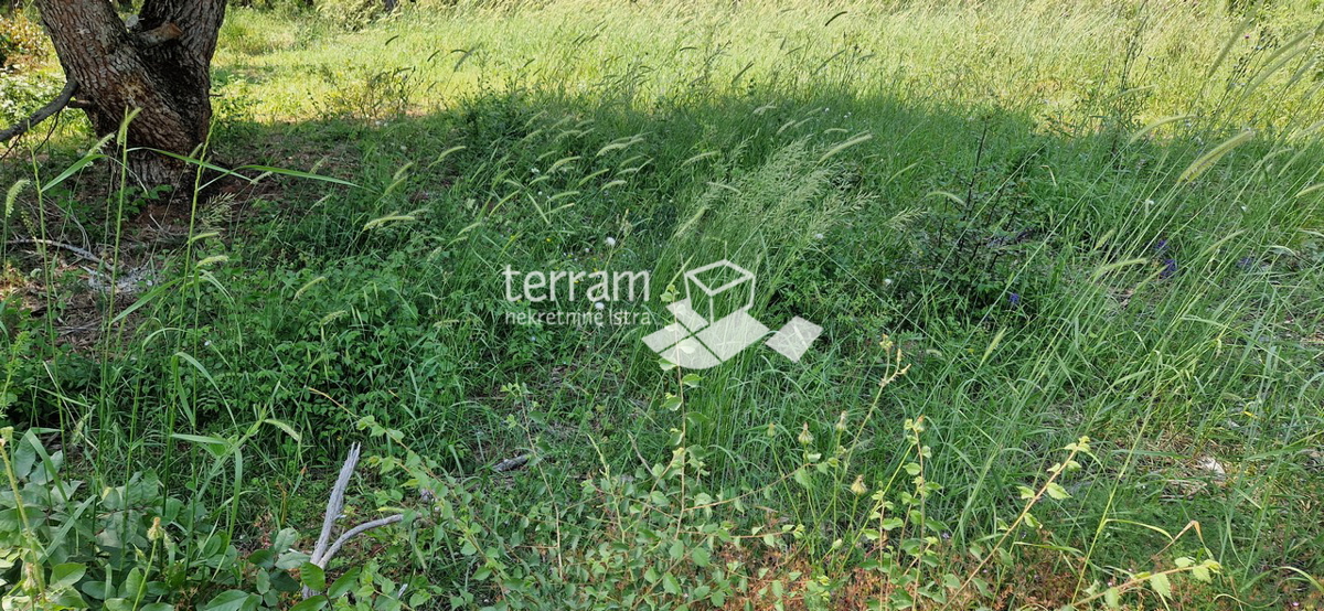 Istria, Medulin, terreno edificabile 1036m2, #vendita