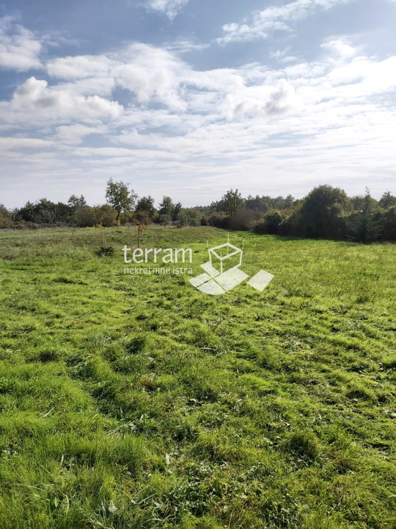 Istria, Žminj, Cere, terreno edificabile, 660 m2, in vendita