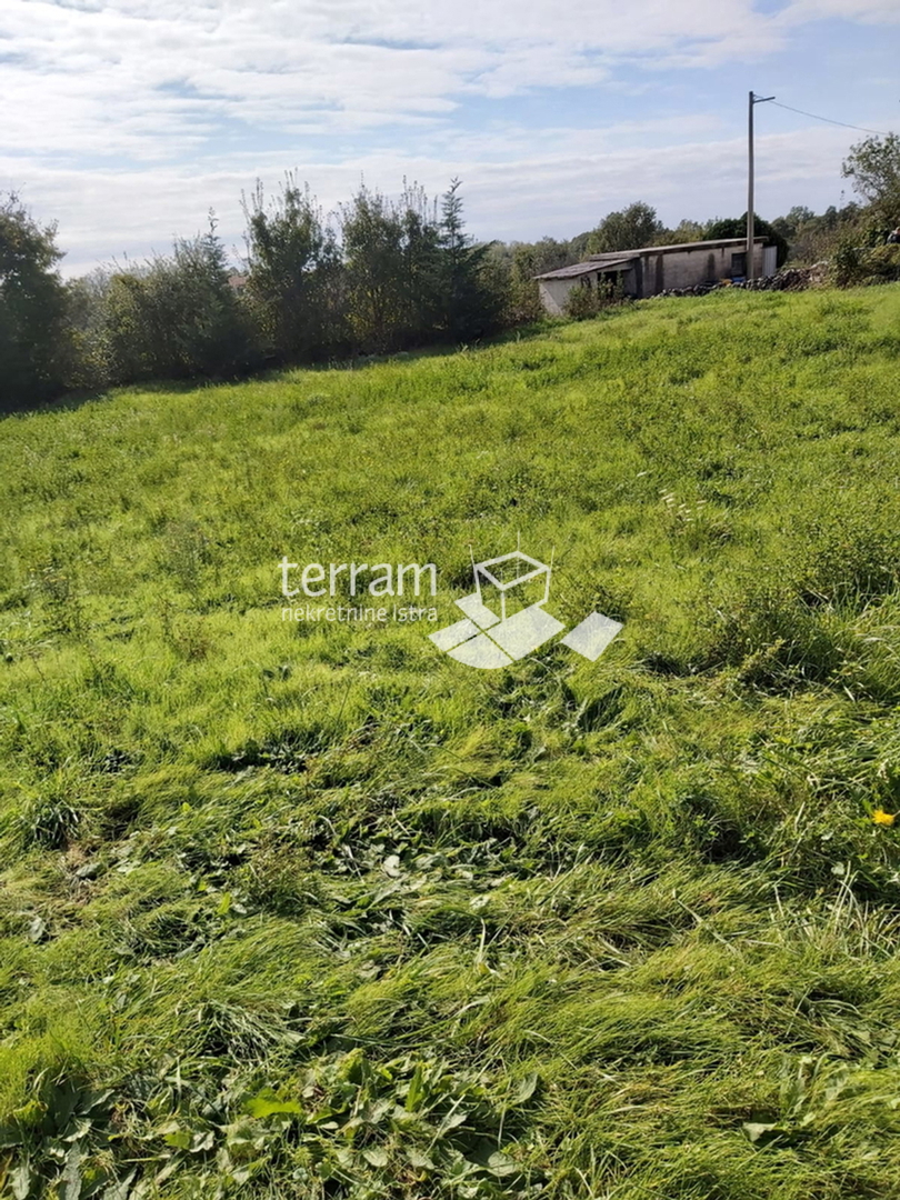 Istria, Žminj, Cere, terreno edificabile, 660 m2, in vendita