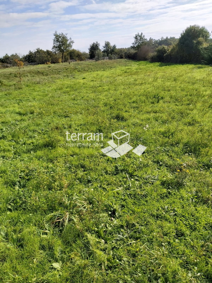 Istria, Žminj, Cere, terreno edificabile, 660 m2, in vendita