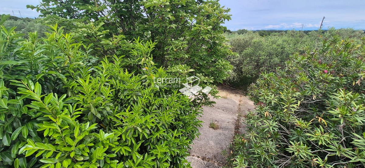 Istria, Promontorio, proprietà di 2600 m2, due case per un totale di 470 m2, 9 appartamenti, vista mare, #vendita