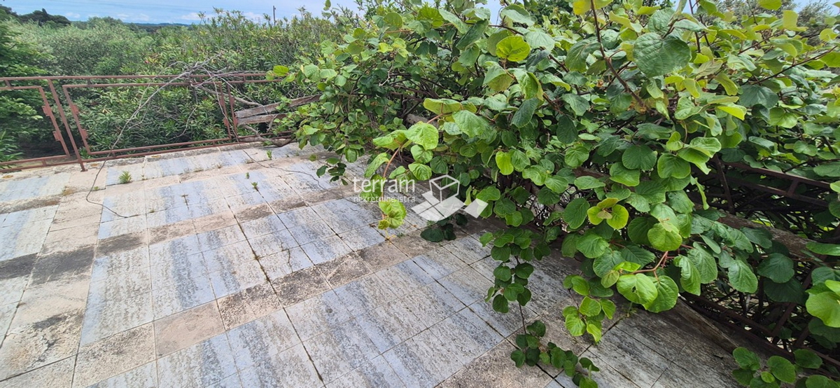 Istria, Promontorio, proprietà di 2600 m2, due case per un totale di 470 m2, 9 appartamenti, vista mare, #vendita