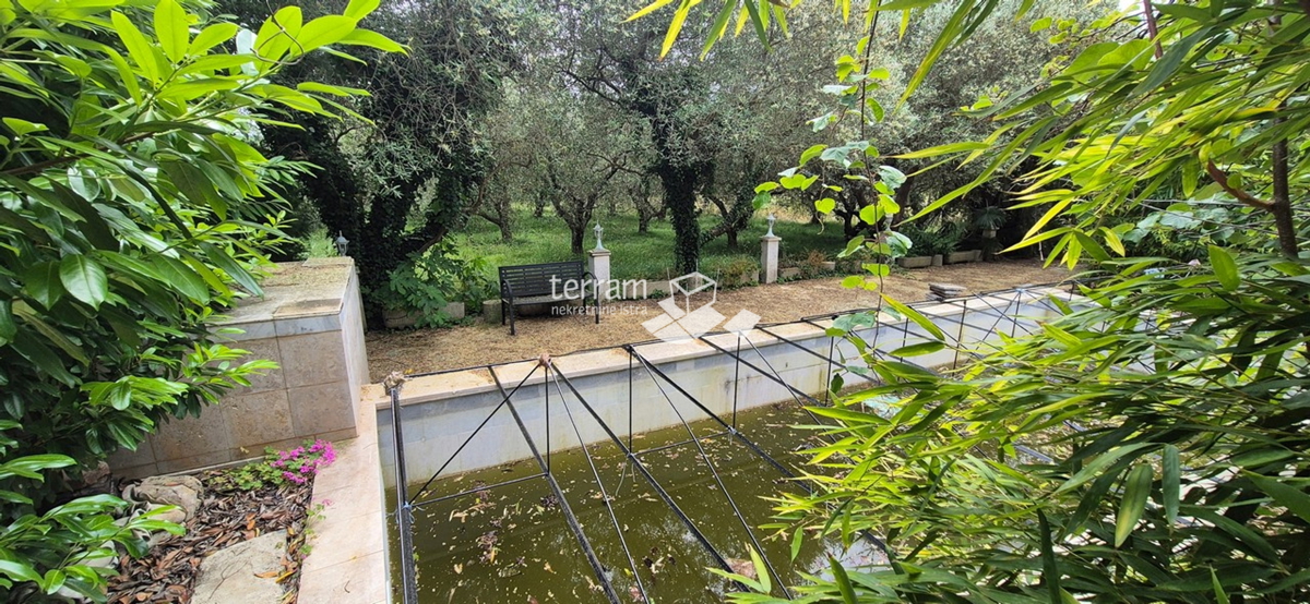 Istria, Promontorio, proprietà di 2600 m2, due case per un totale di 470 m2, 9 appartamenti, vista mare, #vendita