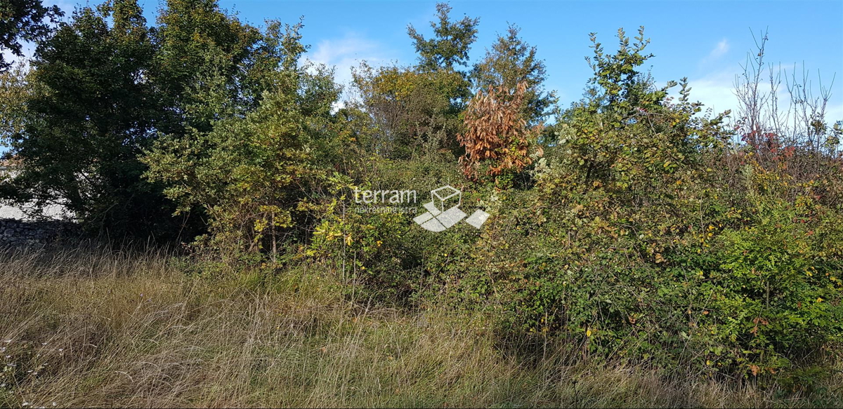 Istria, Gračišće, Lančišće vecchia casa istriana 300m2 giardino 6856m2