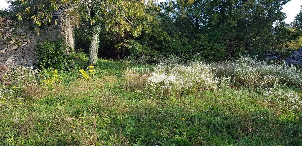 Istria, Gračišće, Lančišće vecchia casa istriana 300m2 giardino 6856m2