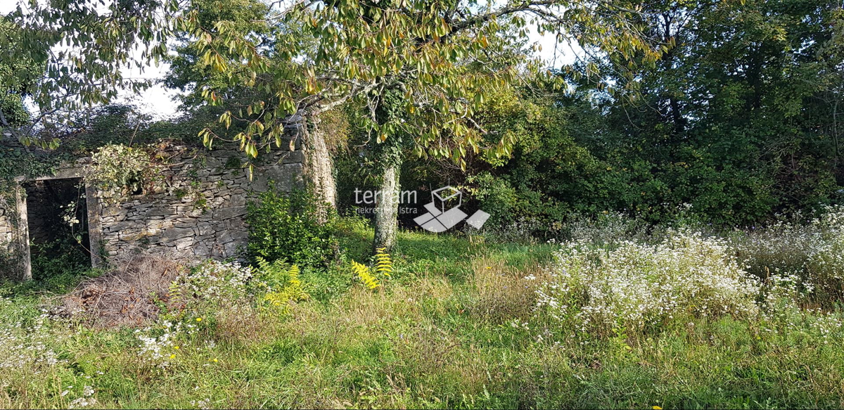 Istria, Gračišće, Lančišće vecchia casa istriana 300m2 giardino 6856m2