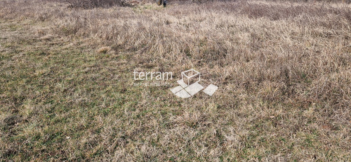 Istria, Barban, terreno edificabile 3160m2 con un edificio di 40m2 in vendita